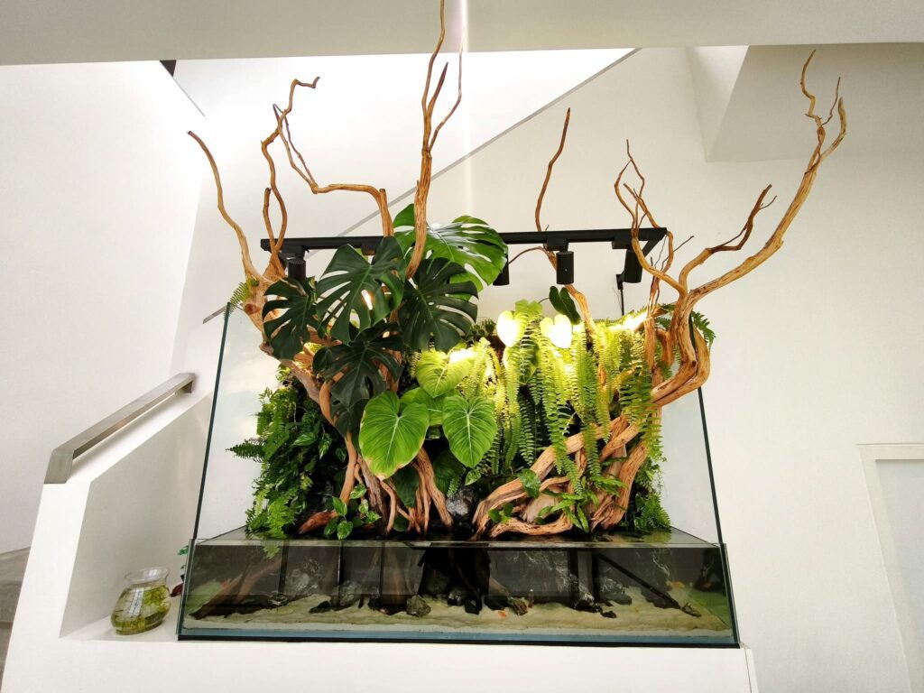 prohobby paludarium