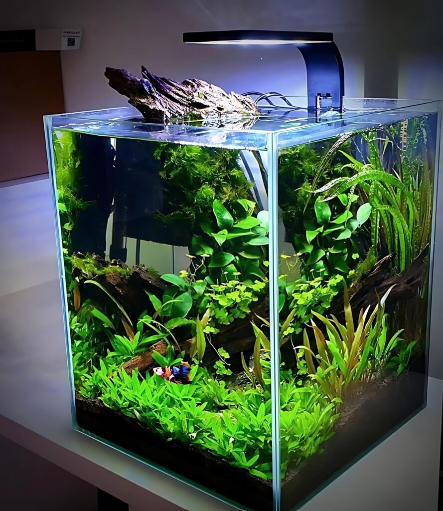 nano planted tank