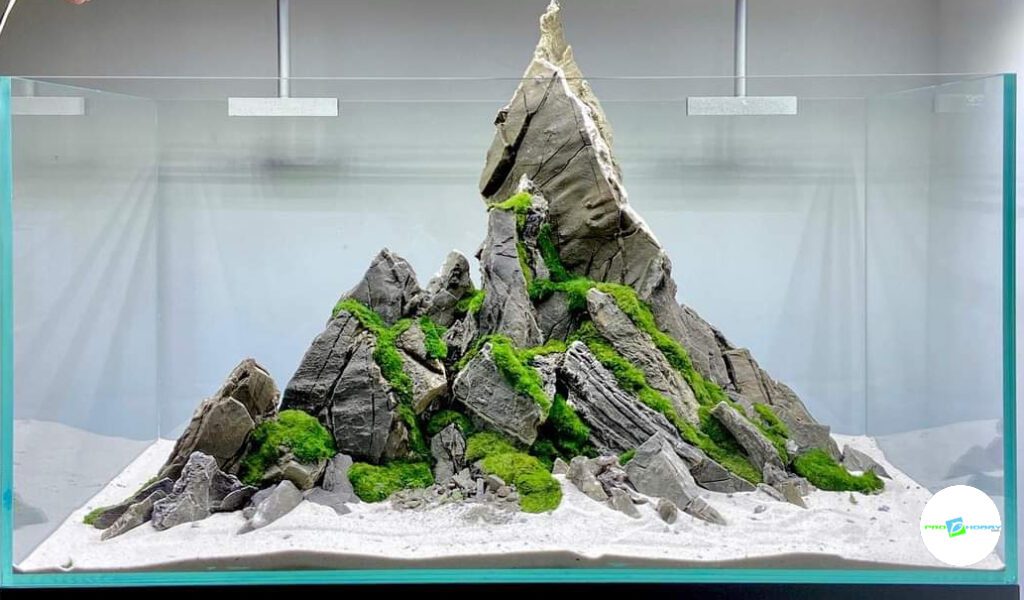 prohobby terrarium
